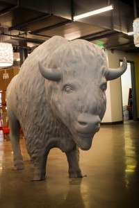 Big bison standing